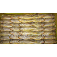 Frozen small yellow croaker(whole round) fish